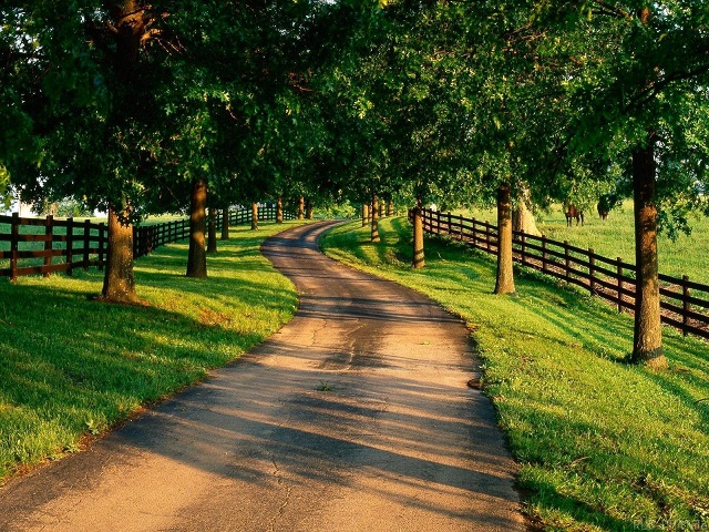 网页攻击器教程